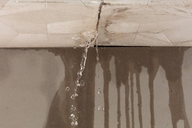 Professional Structural Drying technician working in Harsens Island, MI